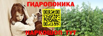 мдпв Партизанск