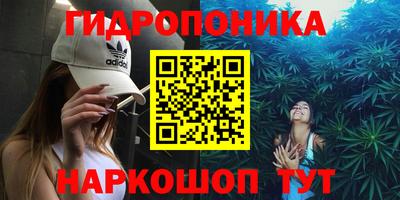мдпв Партизанск