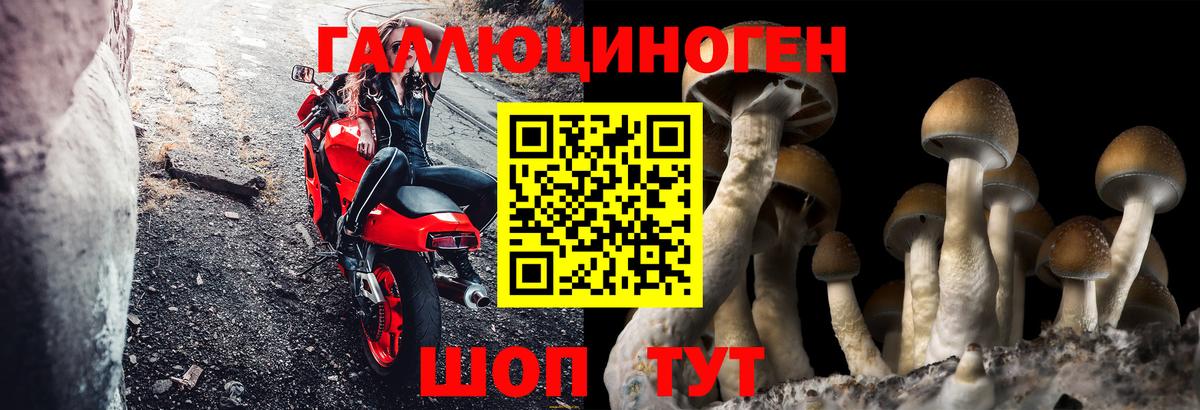 Псилоцибиновые грибы мицелий Оренбург